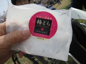 梅２[1]