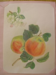 塗り絵~2