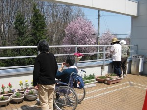 テラス~1