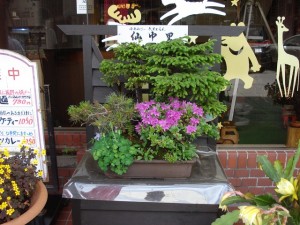 外食レク②