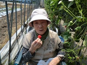苺狩り