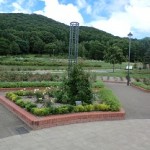バラ公園①