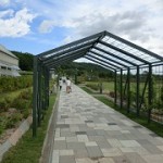 バラ公園③