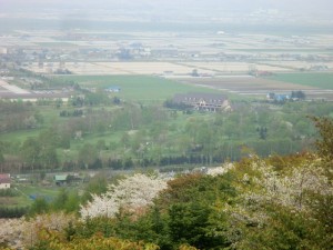 にわ山公園③