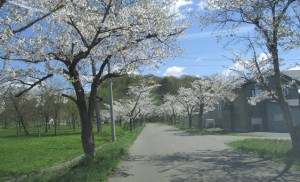 東明公園①