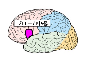 ブローカ中枢[1]