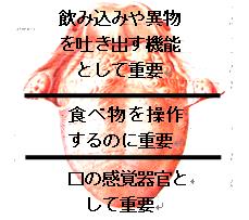 加齢に伴う[1]