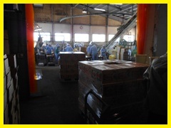 DSCN0424