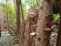 DSC04470[1]