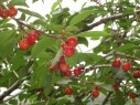 DSC04802[1]