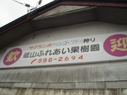 DSC04822[1]