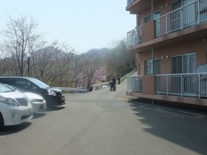 DSCF2480