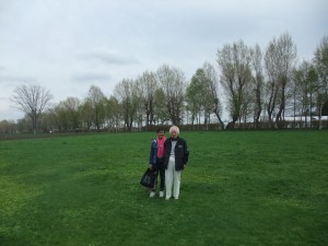DSCF5420