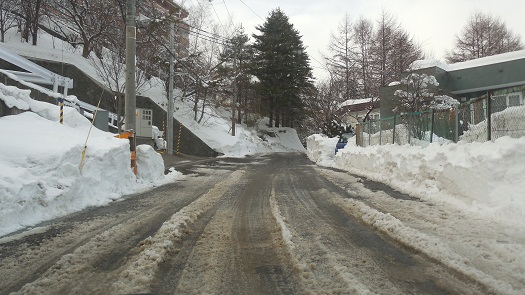 排雪後 (5)