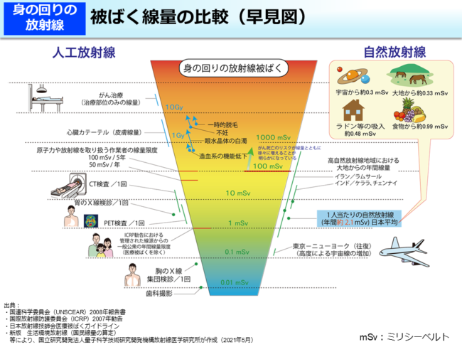 被ばく量比較