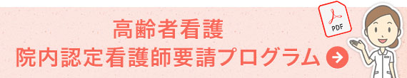 高齢者看護院内認定看護師要請プログラム