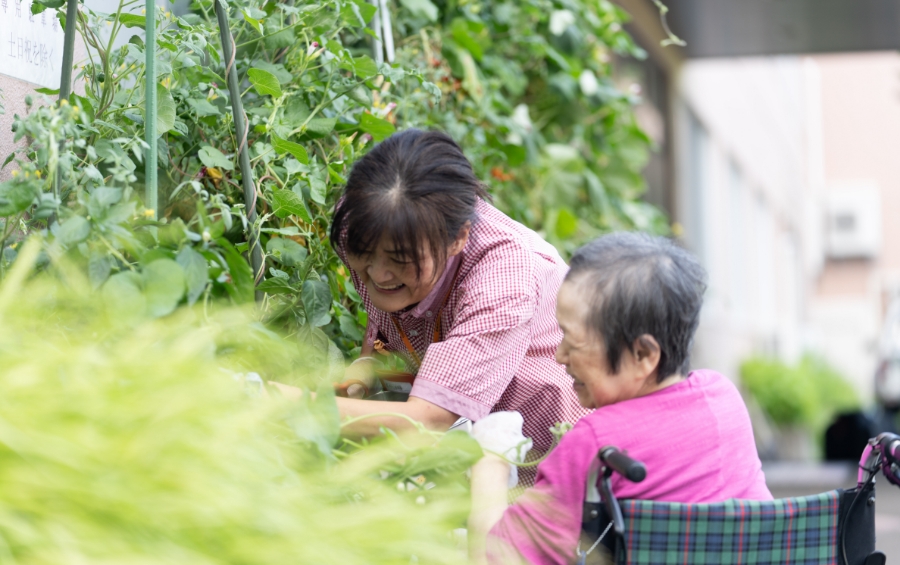 介護老人福祉施設 西円山敬樹園