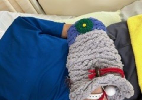 抑制しないケアの実際(医療療養病棟)