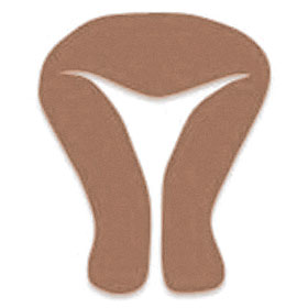 子宮形態検査イメージ