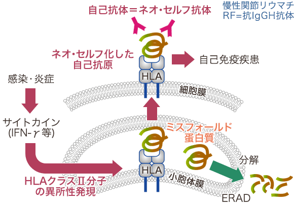 図3