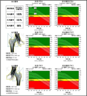 大腿骨頸部での測定結果