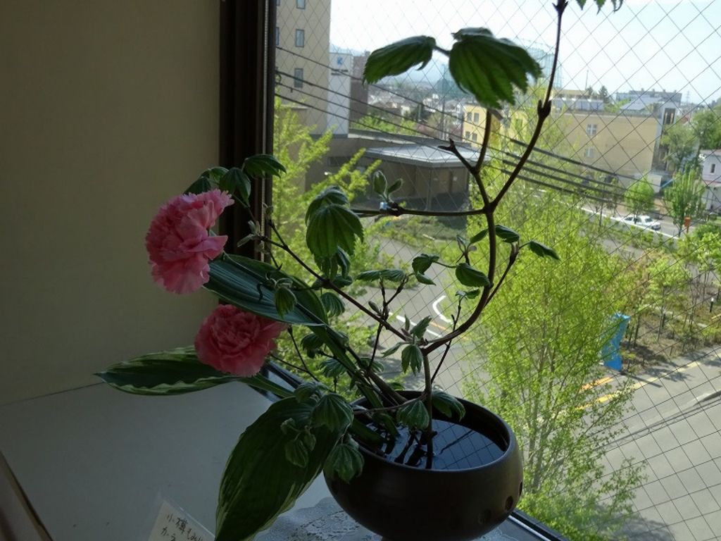 生け花展示
